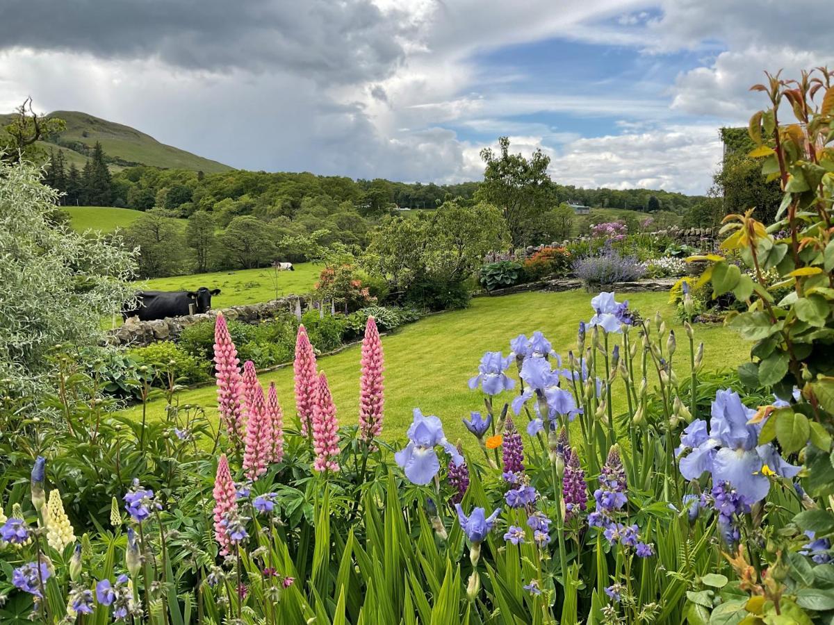 River View Knockraich Farm Fintry Exteriér fotografie
